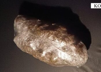 Shiste lëndë narkotike të ndarë në doza, pranga 50-vjeçarit në Korçë