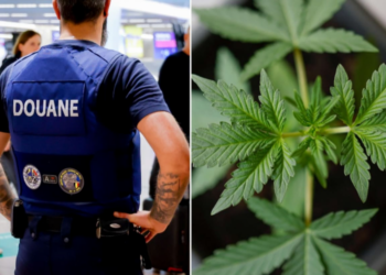 Skandal në aeroportin belg: 25-vjeçari shqiptar kapet me valixhe plot kanabis