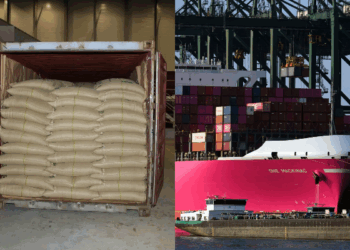 Kontejneri me 500 kg kokainë në Zvicër, si dështoi misioni i kontrabandës për 3 shqiptarët