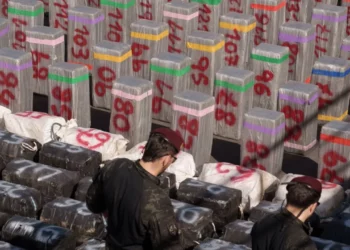 Operacion rekord në historinë e Spanjës, kapen10 tonë kokainë që ishin fshehur mes  kripës