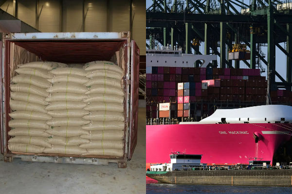 Kontejneri me 500 kg kokainë në Zvicër, si dështoi misioni i kontrabandës për 3 shqiptarët