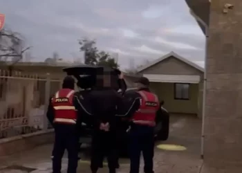 I shpallur në kërkim ndërkombëtar, arrestohet në Shkodër 33-vjeçari i akuzuar për drogë