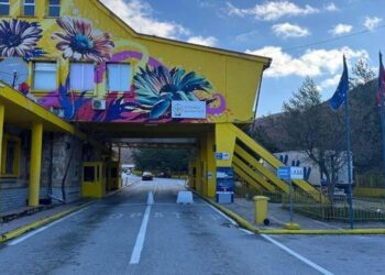 Tentoi të kalonte kufirin ilegalisht, ndalohet 30-vjeçari grek në Kapshticë