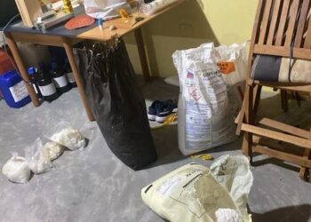 Kokainë nga Amerika Latine drejt Shqipërisë në lëkurë bagëtish, SPAK u komunikon akuzat 10 personave