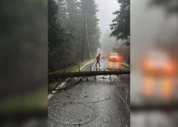 Era e fortë rrëzon pemët dhe bllokon rrugën e Llogarasë, dëmtohen edhe linjat elektrike