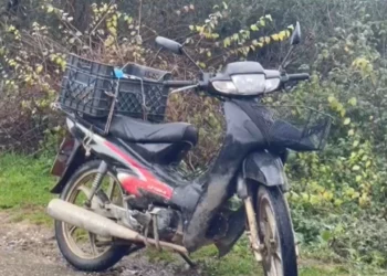 Aksident me vdekje në Lushnjë, humb jetën 70-vjeçari (Emri)