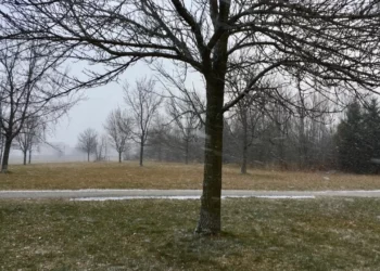 Parashikimi i motit për sot, 13 Janar 2026