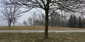 Parashikimi i motit për sot, 13 Janar 2026