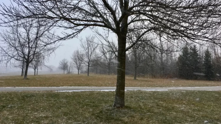 Parashikimi i motit për sot, 13 Janar 2026