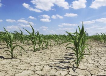 Nuk është marrë asnjë masë! Bujqësia dhe ekonomia do të përballen me një humbje prej 17 miliardë dollarë