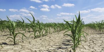 Nuk është marrë asnjë masë! Bujqësia dhe ekonomia do të përballen me një humbje prej 17 miliardë dollarë