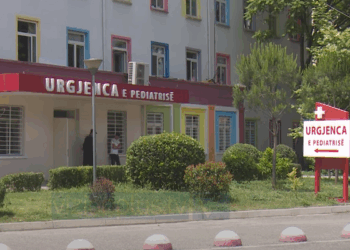 Përhapen dy variante të reja të gripi, mjekët apel: Shmangni mbipopullimet