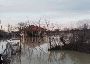 Çahet argjinatura e Semanit, përmbyten banesa dhe toka bujqësore në disa fshatra të Fierit