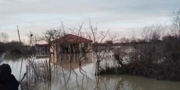 Çahet argjinatura e Semanit, përmbyten banesa dhe toka bujqësore në disa fshatra të Fierit