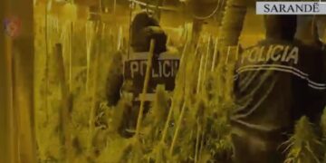 Zbulohet në Sarandë një laborator kanabisi, arrestohet administratori i pallatit