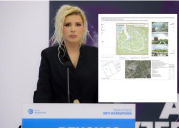 PD: Ergys Agasi do ndërtojë kompleksin te Eco-Parku! U bë ortak pak ditë para tenderit 10 milionë euro