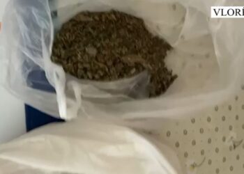 Vlorë? Arrestohet 35-vjeçari për shpërndarje droge, sekuestrohet kanabis