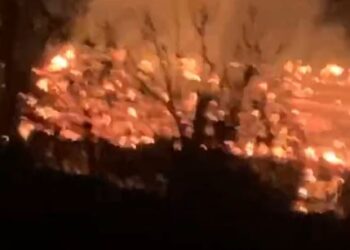 Zjarr në Elbasan/ Shkrumbohet një banesë, 4 anëtarë të familjes pa strehë