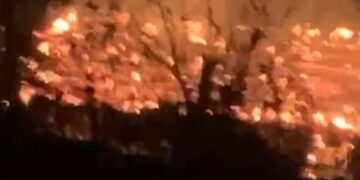 Zjarr në Elbasan/ Shkrumbohet një banesë, 4 anëtarë të familjes pa strehë