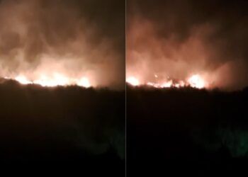 Zjarr në zonën e Lagunës në Orikum, era e fortë favorizon përhapjen e flakëve