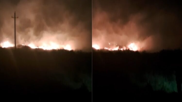 Zjarr në zonën e Lagunës në Orikum, era e fortë favorizon përhapjen e flakëve