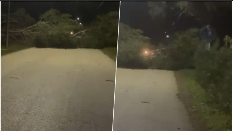 Era e fortë rrëzon disa pisha rrugës për në Zvërnec, bllokohet kalimi për automjetet