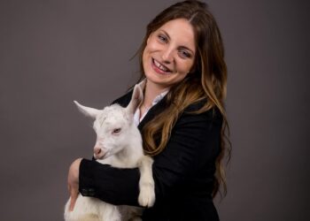 Skandali, deputetja e Ramës i quan shqiptarët dele?