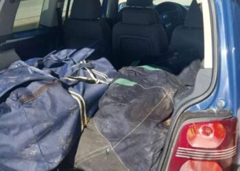 Kapen 75 kg kanabis në Igumenicë, arrestohet 54-vjeçari nga Shqipëria