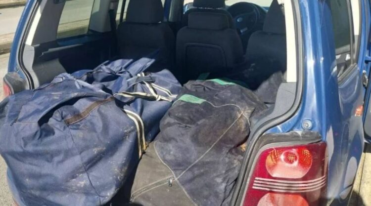 Kapen 75 kg kanabis në Igumenicë, arrestohet 54-vjeçari nga Shqipëria