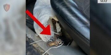 I dehur dhe me armë zjarri në makinë, arrestohet 46-vjeçari në Mat