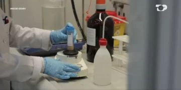 Arsenik në bukë! Ekspertët: Lënda toksike shkakton kancer dhe sëmundje të tjera