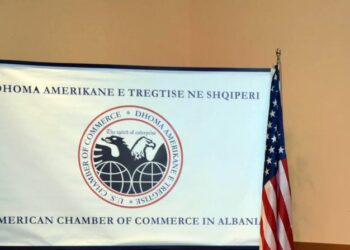 Dhoma Amerikane e Tregtisë ngre alarmin për ‘e-Albania’: Rreziqe serioze për sigurinë e biznesit