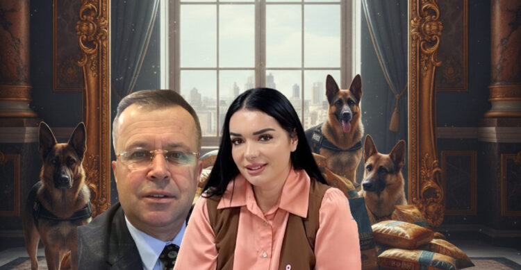 Nga katërputroshët e policisë tek qentë e rrugës: Arlinda Pogaj dhe Blerta Dardha qerasin me 1.23 mln euro Albert Metanin