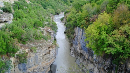 “Po hidhem në lumë vëlla!” I dha fund jetës, 42-vjeçari kishte 7 vite pa e parë të birin
