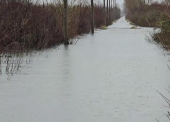 Shkarkimet në tre hidrocentralet e kaskadës së Drinit, përmbytet sërish Oboti! Niveli i ujit arrin në 50 cm