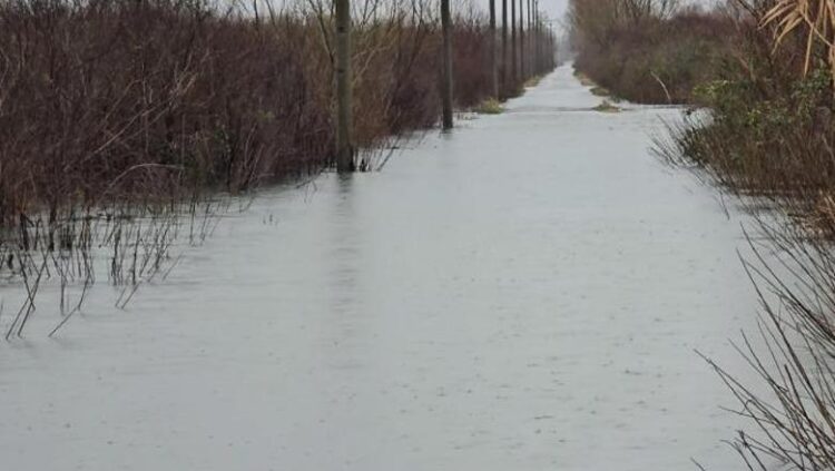 Shkarkimet në tre hidrocentralet e kaskadës së Drinit, përmbytet sërish Oboti! Niveli i ujit arrin në 50 cm