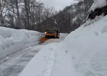 ‘Ishte paralizuar’ prej ditësh nga ortekët, zhbllokohet aksi i Qafë Thores