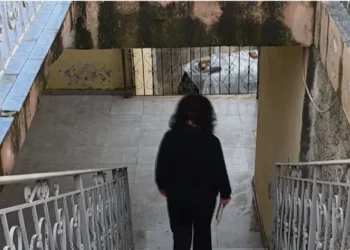 Kushte skandaloze! Qendra shëndetësore në Fier me myk, rrezik për pacientët dhe stafin mjekësor