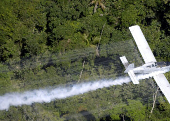 Kolumbia rifillon shkatërrimin e të mbjellave të kokainës me glifosat
