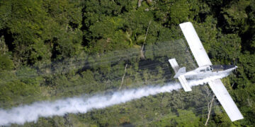 Kolumbia rifillon shkatërrimin e të mbjellave të kokainës me glifosat