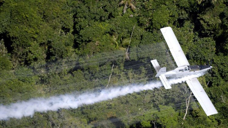 Kolumbia rifillon shkatërrimin e të mbjellave të kokainës me glifosat