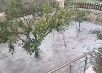 Stuhia e papritur godet luginën e Vjosës, bujqësia pëson dëme të mëdha