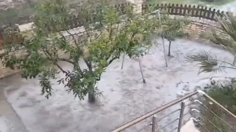 Stuhia e papritur godet luginën e Vjosës, bujqësia pëson dëme të mëdha