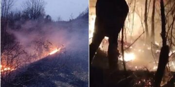 Flakët përfshijnë kodrën e Somotinës në Pogradec, ndërhyjnë zjarrfikësit dhe banorët