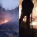Flakët përfshijnë kodrën e Somotinës në Pogradec, ndërhyjnë zjarrfikësit dhe banorët