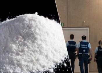 Tre të akuzuar për trafik droge arratisen para gjyqit në Belgjikë, dyshohet se erdhën në Shqipëri