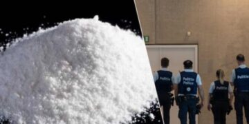 Tre të akuzuar për trafik droge arratisen para gjyqit në Belgjikë, dyshohet se erdhën në Shqipëri