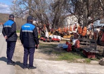 “Aksion kundër ambulantëve” në Korçë, Prefektja përzë fermerët që shesin anës rrugës nacionale