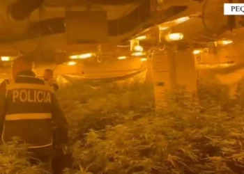 magazinën e mbushur me kanabis. Shpallet në kërkim pronari, drejtor i burgut të Rrogozhinës, i përfshirë edhe përgjegjësi i OSHEE-së