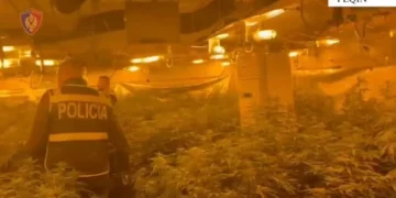 magazinën e mbushur me kanabis. Shpallet në kërkim pronari, drejtor i burgut të Rrogozhinës, i përfshirë edhe përgjegjësi i OSHEE-së